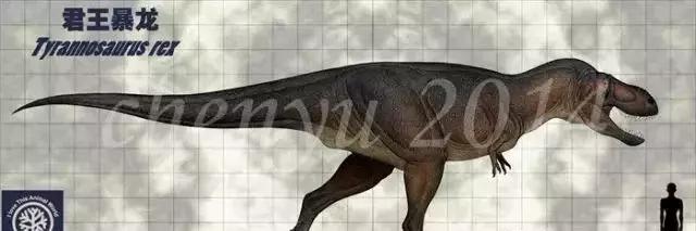 1600万年前称霸地球的有哪些,45亿年的地球有多少霸主