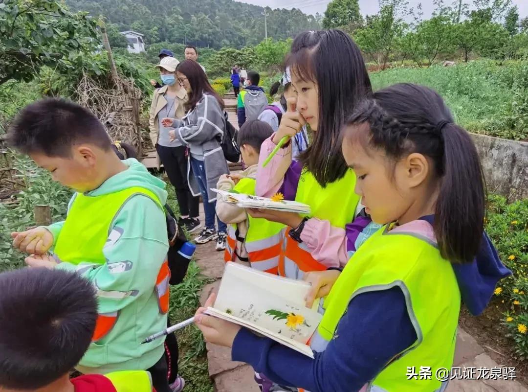 中国自然观察节,2019自然观察节
