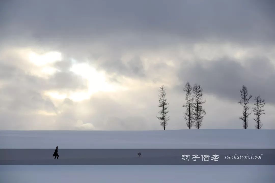 日本10天自由行费用北海道,东京北海道5日自由行攻略