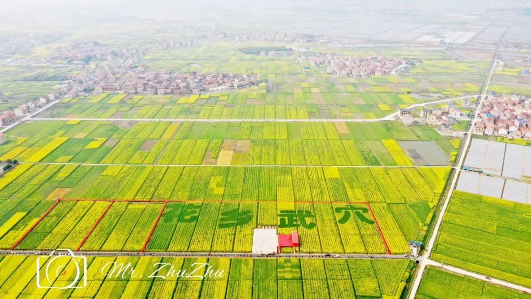 忘了ta吧原版视频,忘了ta吧