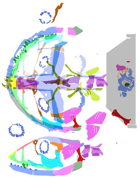 缈奸緳鍊掓寕鍗婄┖,缈奸緳鍊掓寕