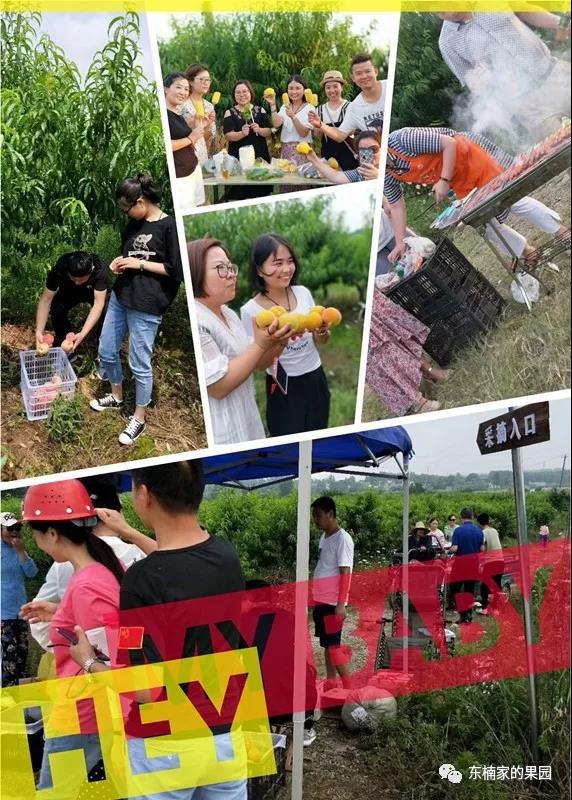 合肥休闲农庄排行榜前十名,合肥农庄转让或出租