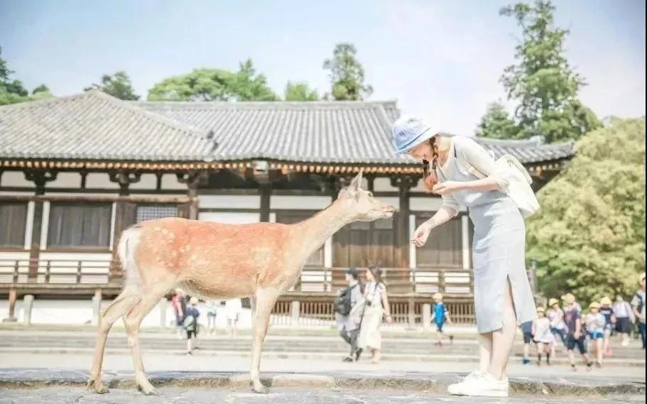 东南花都花博园景观,东南花都花博园