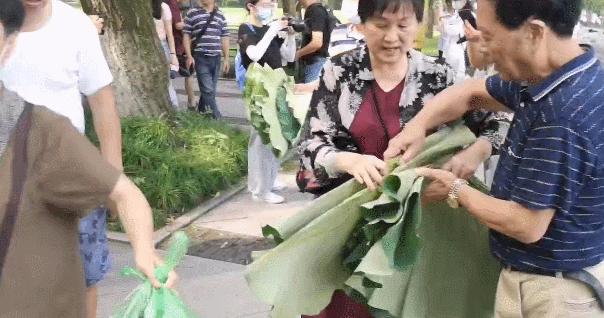 凌晨5点多的西湖,凌晨三点西湖排长队