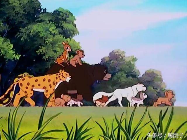 致青春童年的经典动画,致青春回忆经典视频