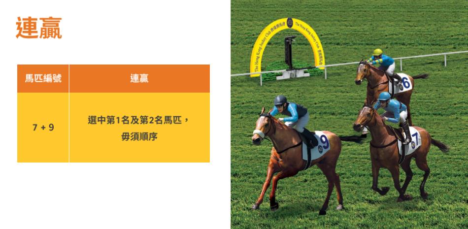 看到香港人玩赛马却不知道怎么玩，半小时教会你！