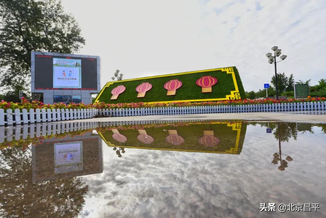 北京庆七一花坛摆放图片,北京长安街迎国庆立体花坛亮相