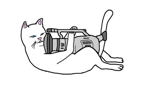 *戏调**Supreme的贱贱白猫RIPNDIP