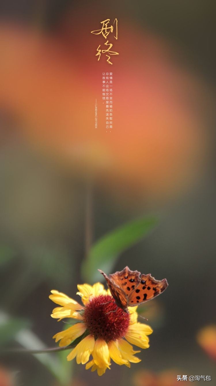 秋分一半热烈一半安详,秋分秋天分两半