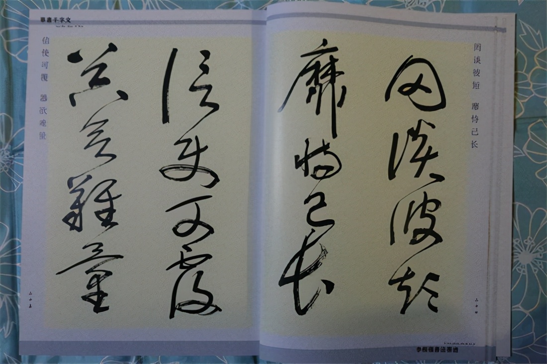 草书千字文真迹,书法千字文作品欣赏启功先生