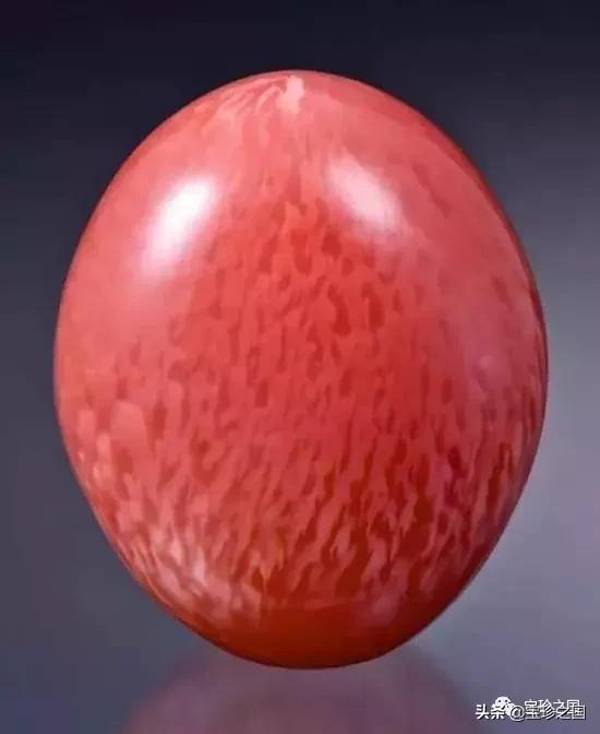 智识珍珠08|海螺珠：诞生于深海的火焰