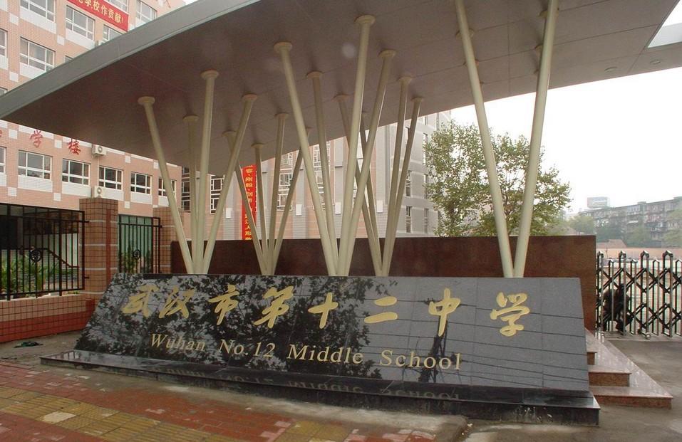 武汉3名女生入选空军飞行员,武汉三女生入选空军飞行学员