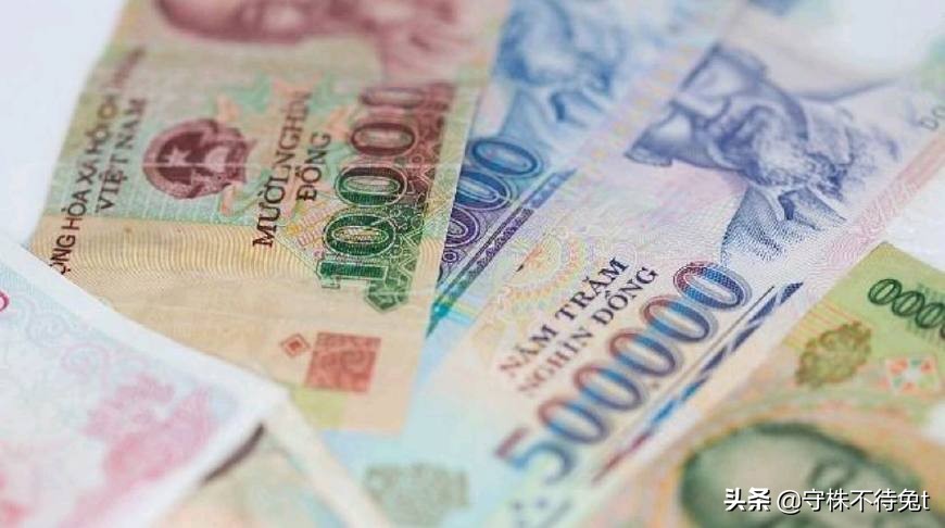 100个冷知识是什么,100万个冷知识