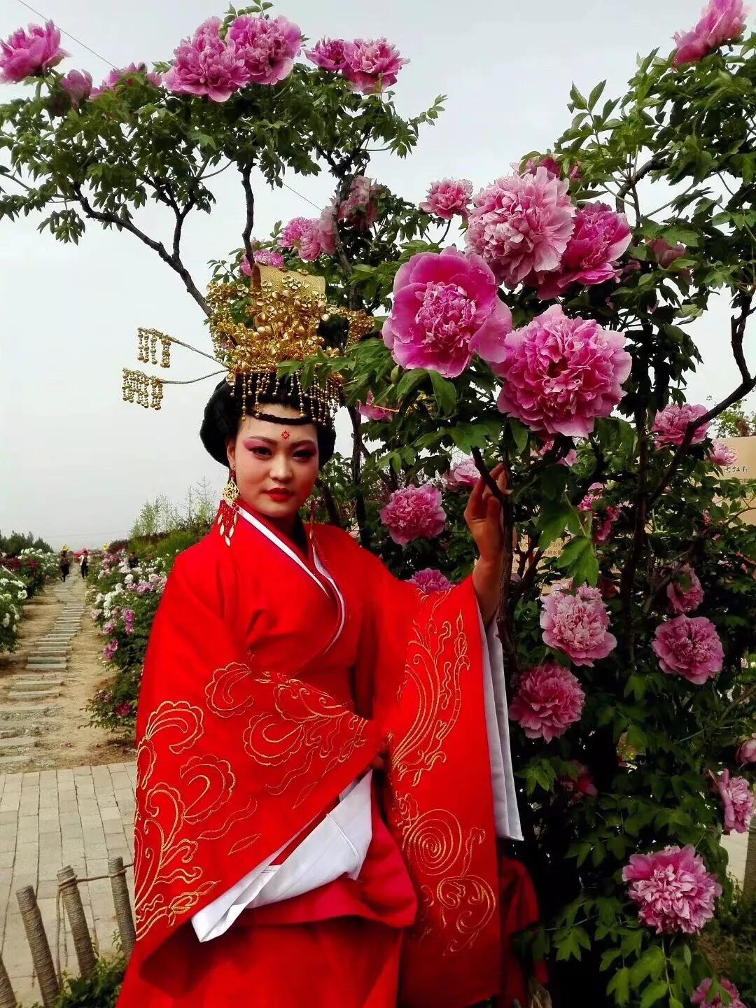 神奇的传说古老的传说,神奇的传说完整版