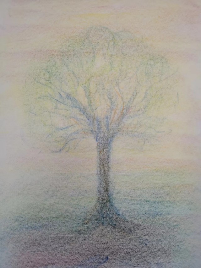 人智学的理论课程,人智学概论