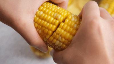 爆浆糖心水果玉米,如何挑爆汁甜的水果玉米