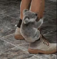 正确的排毒方法怎么排,9招教你有效排毒