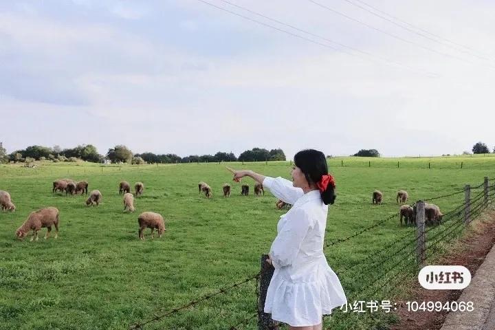 为什么，我一定要劝你来寻甸