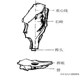 广场园林景观设计有哪些,园林景观设计墙角