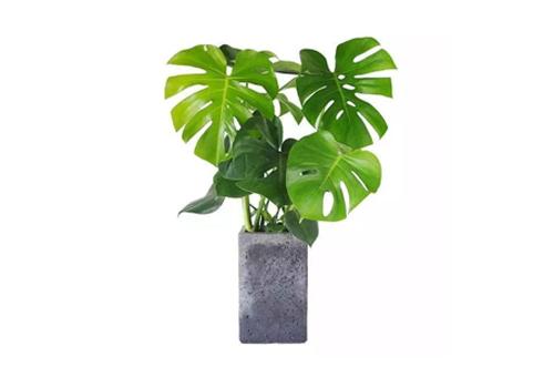 618必买清单车载,618汽车有什么好物