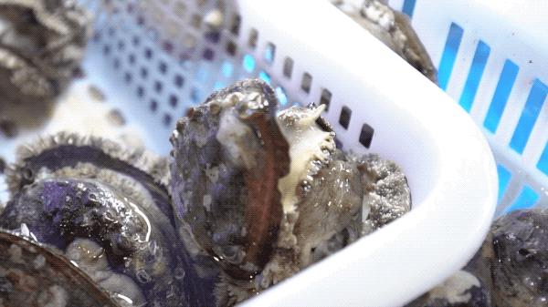 这家噗噗噗的粥底火锅店，稳就一个字