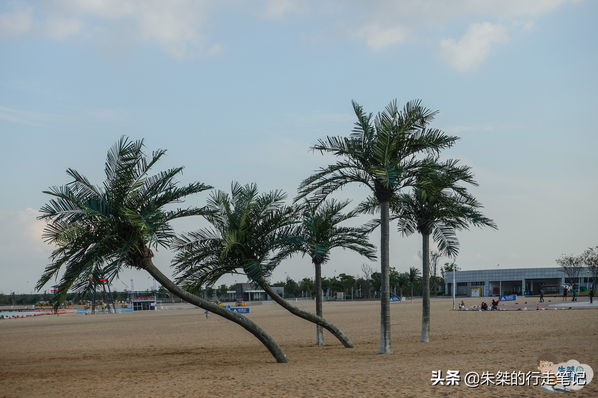 宝藏小众沙滩宁波,宁波宝藏海滩