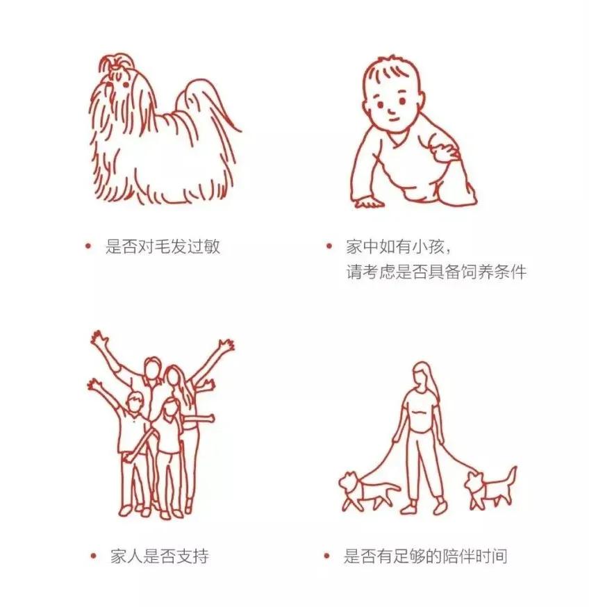 遇到流浪猫该如何科学救助？这篇救助手册里全有了