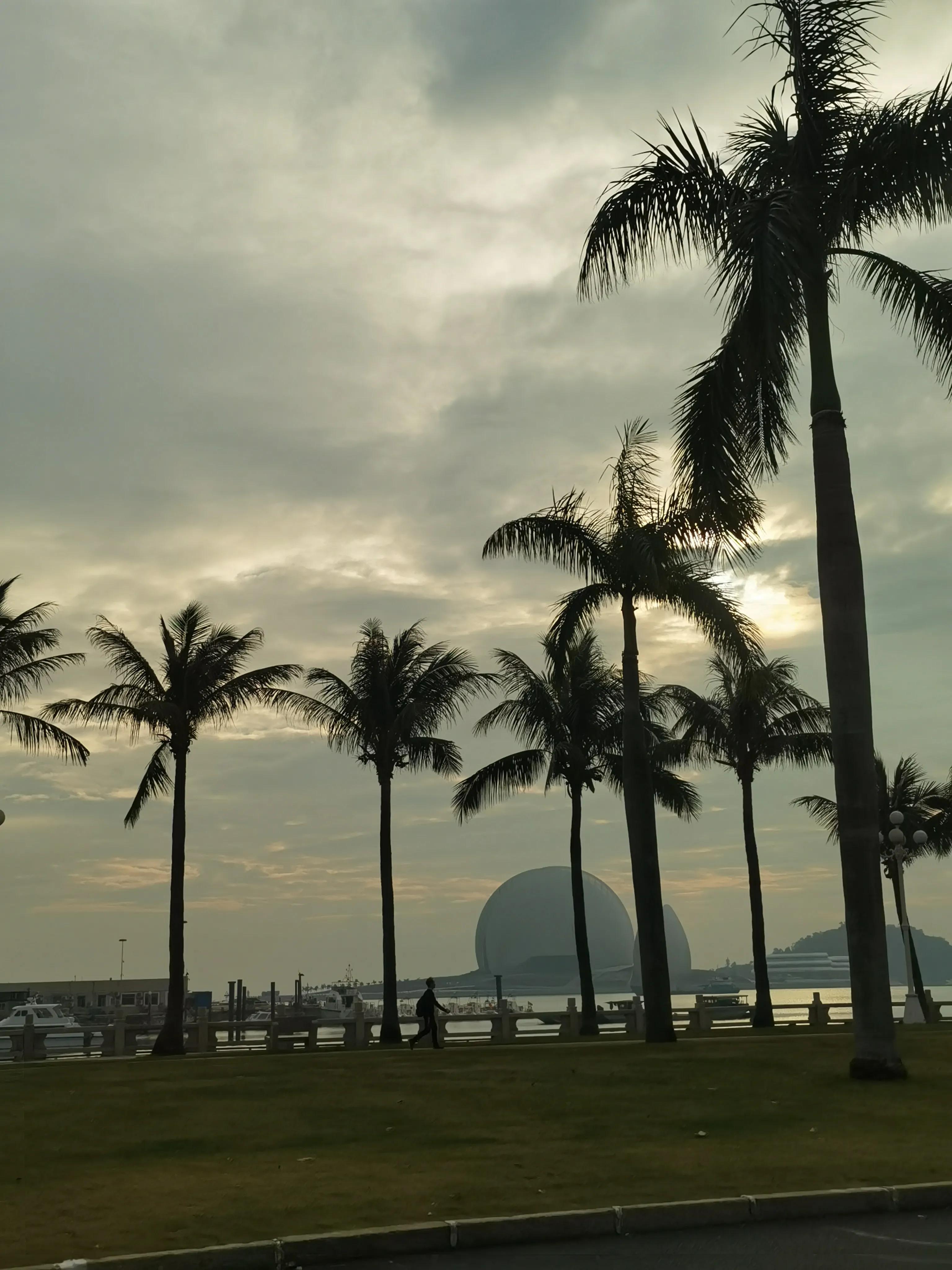 珠海淇澳岛红树林攻略,珠海桂山岛3天二夜的旅游攻略