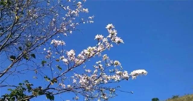 静是一种力量一种福气,西双版纳这边旅游