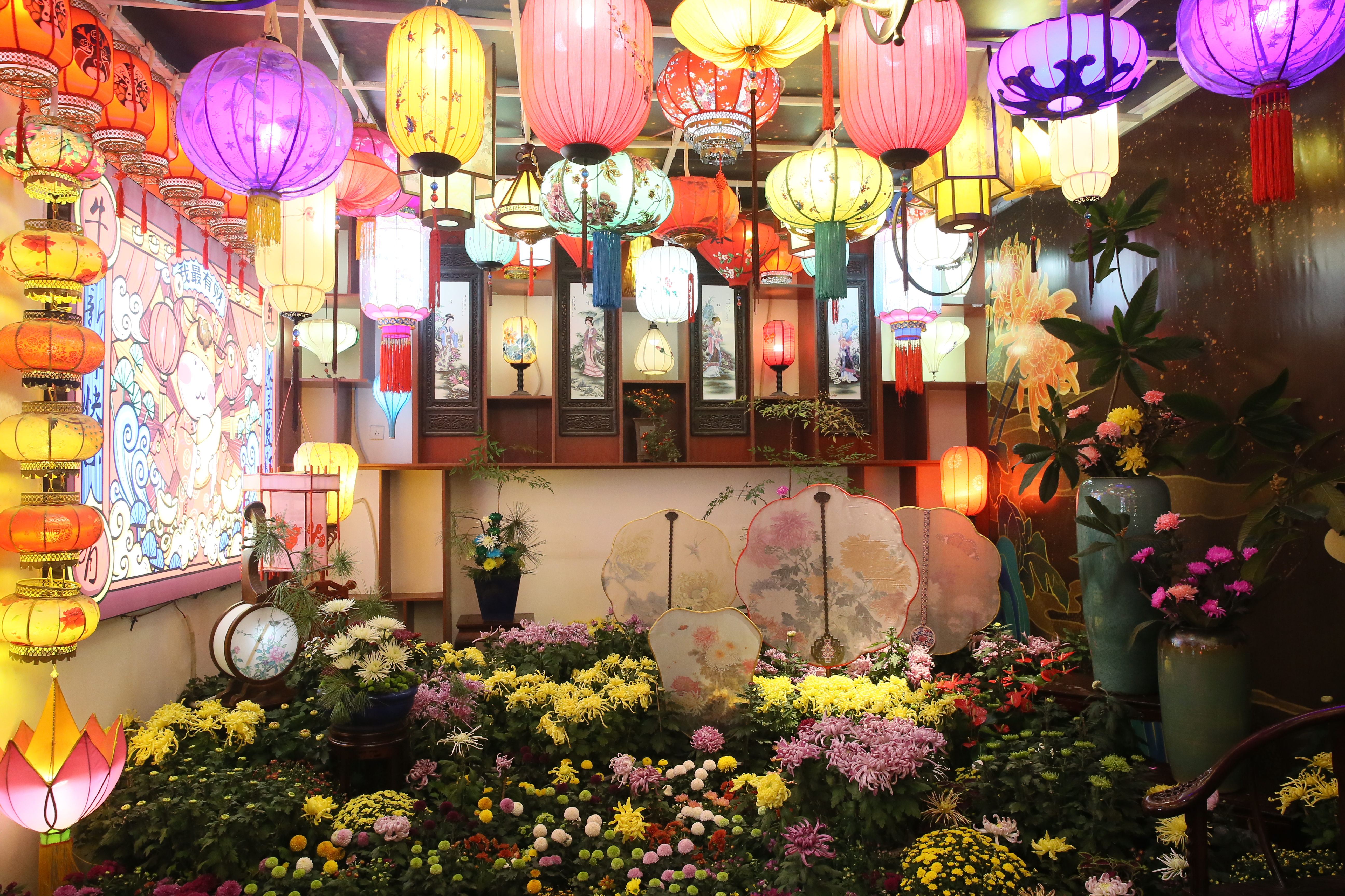 带你看开封清明上河园的菊花展,开封第41届菊花文化节清明上河园