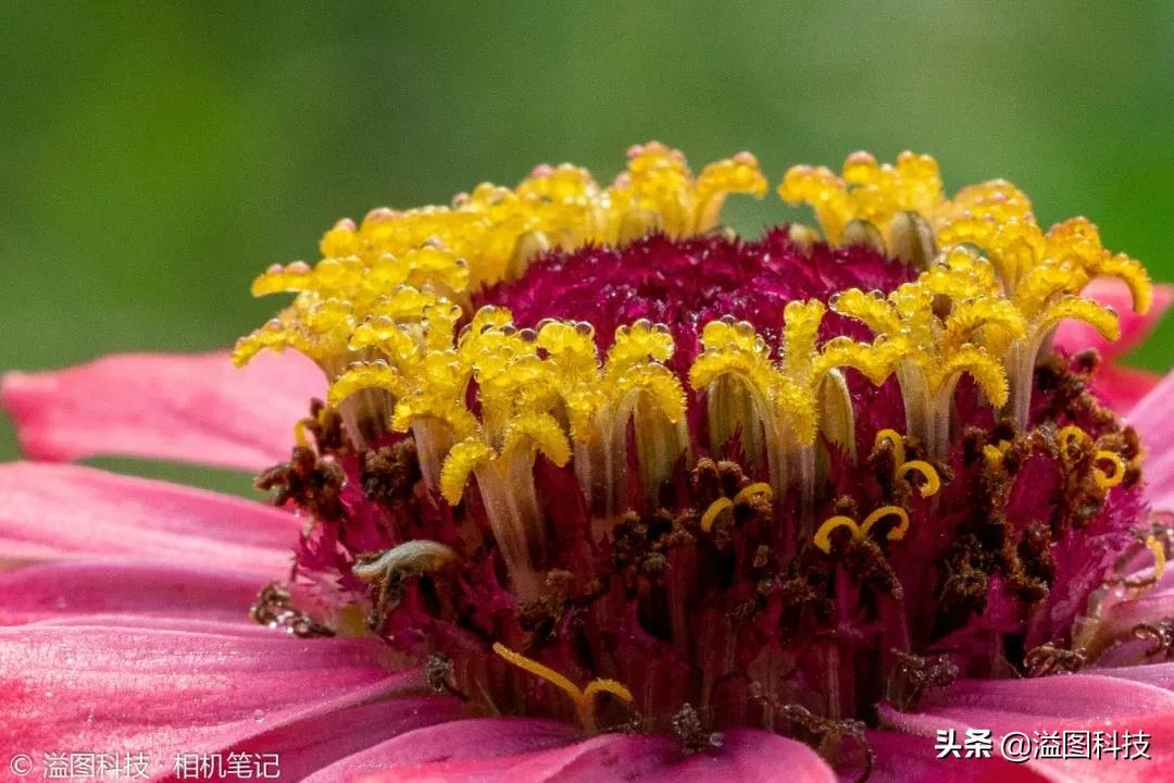 适马150-600s镜头评测,适马新镜头70-200