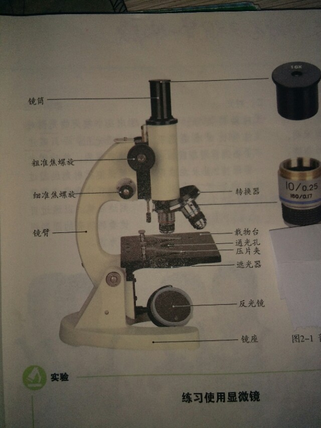 显微镜的结构以及用法,最新的显微镜构造技术