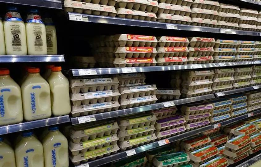 白皮鸡蛋和红皮鸡蛋营养区别,红皮鸡蛋vs白皮鸡蛋哪种更营养