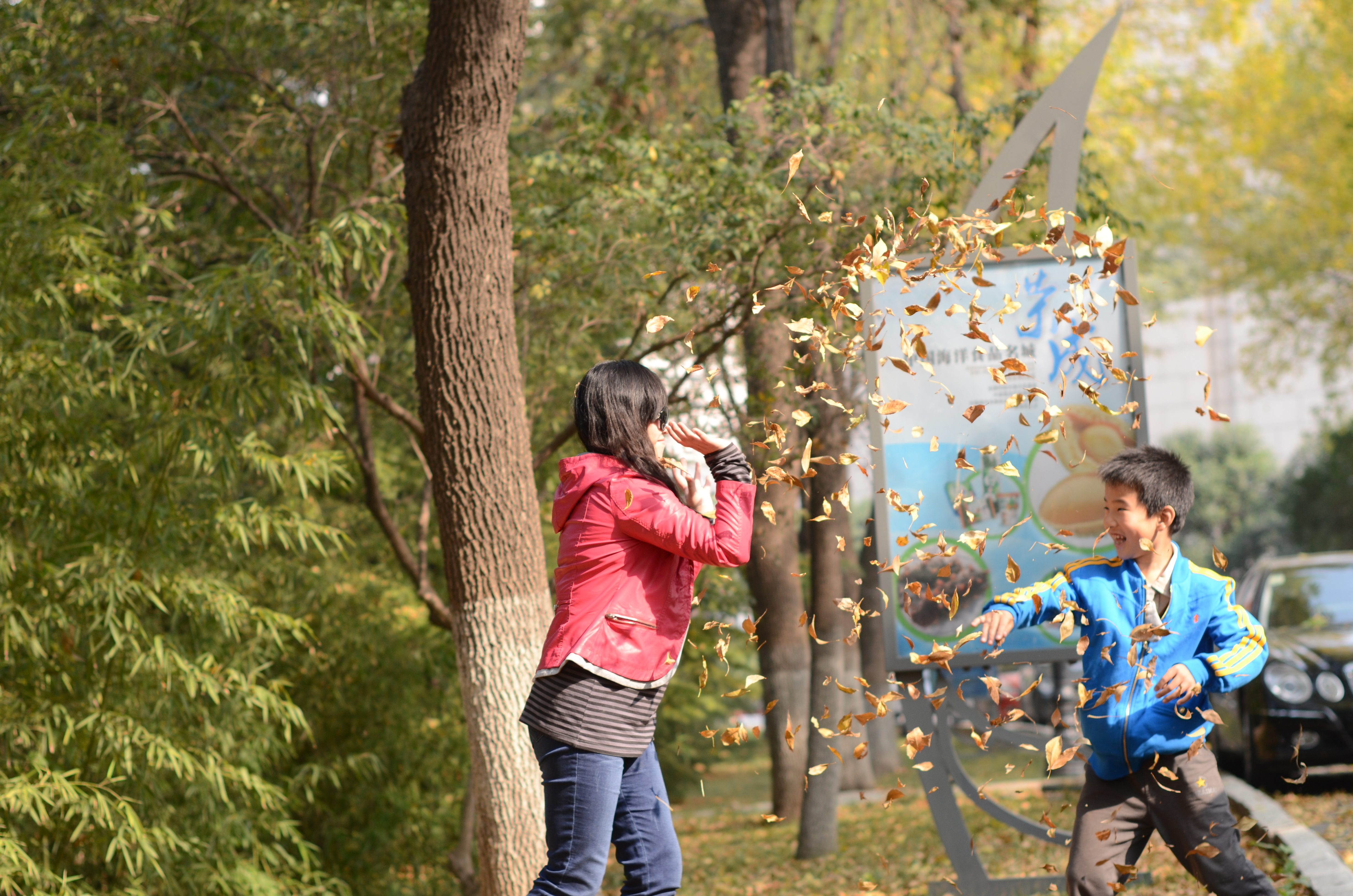 南郊美美,南郊宾馆的风景