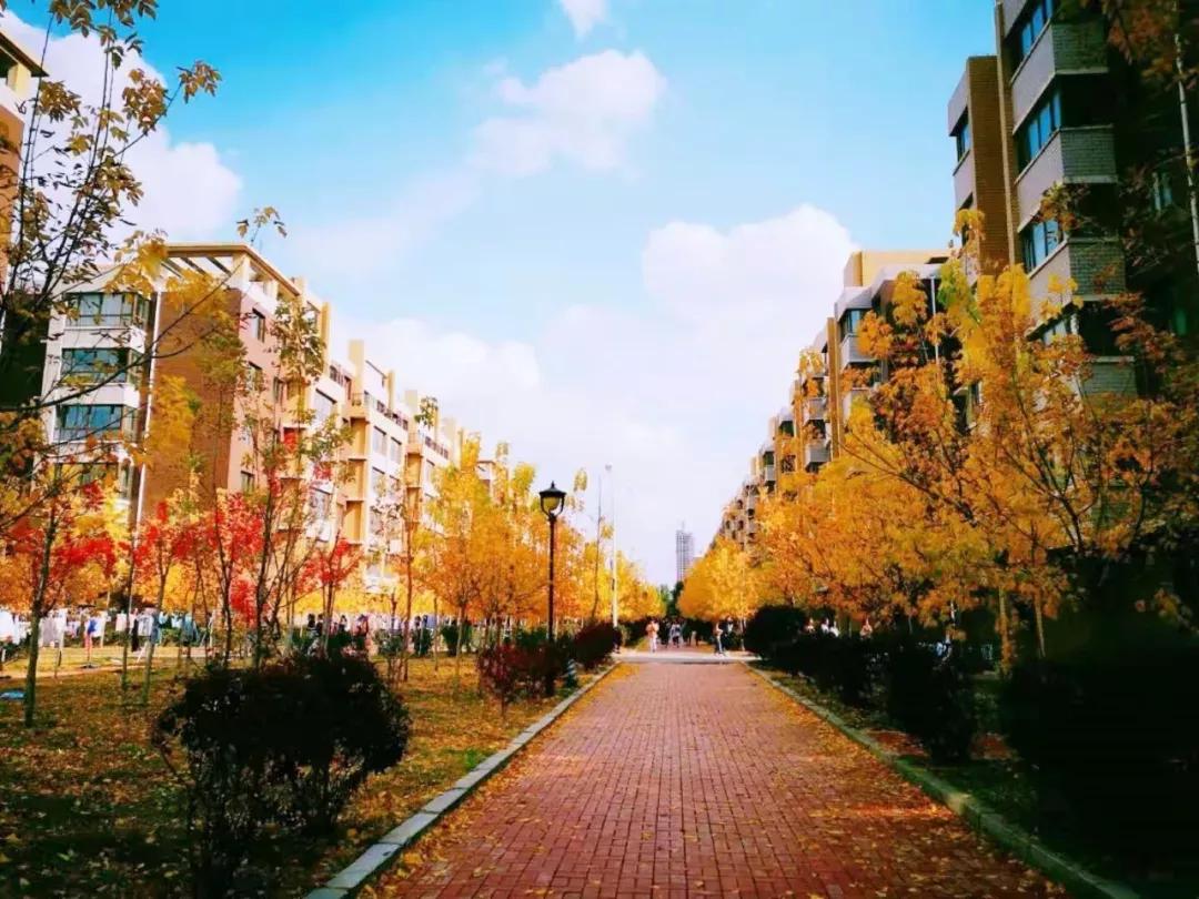 辽宁中医药大学杏林学院规模,辽宁中医学院杏林学院的排名