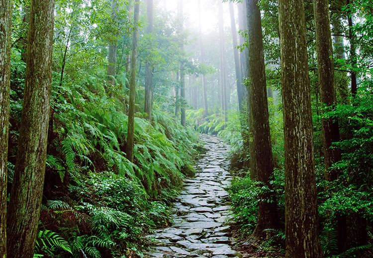 2019年全球必去的52个目的地,2023必去旅游地方排名