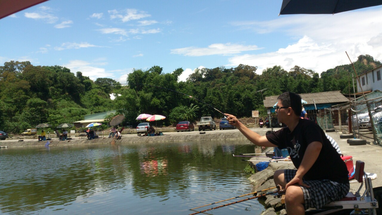 鱼竿三七调和二八调怎么分别,鱼竿内幕大揭秘