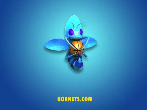 nba30支球队全部队标,30支nba球队最新队标