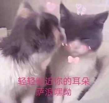 空姐带货主播,空姐做带货直播