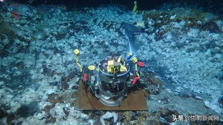 邯郸西部“咽喉”隧道通车！滴滴出行，下架！张陶，停职！7月5日邯郸新闻早报