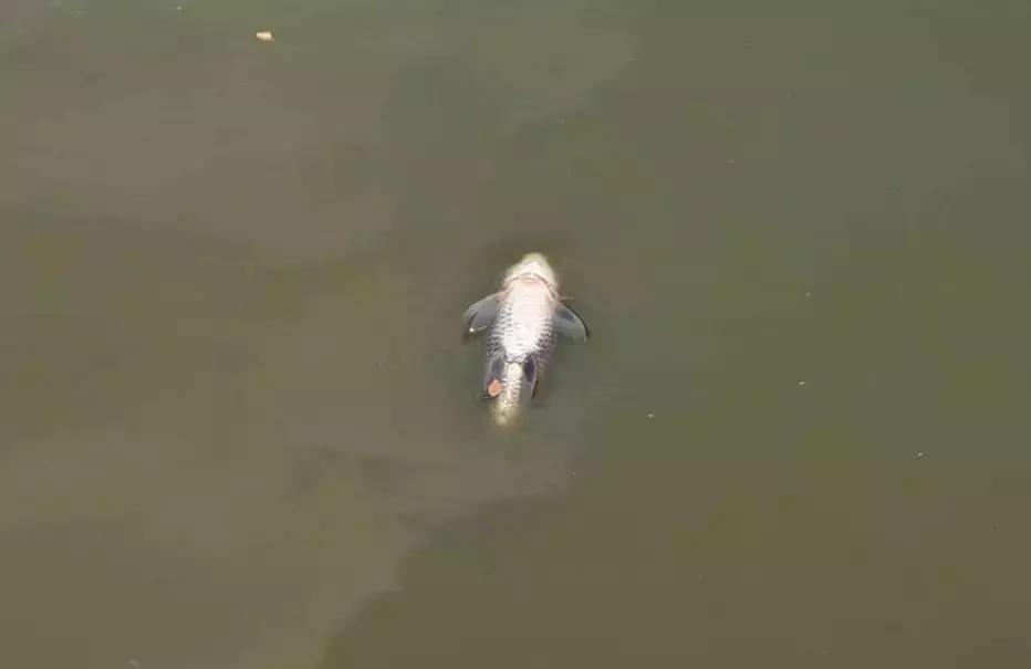 缅甸多地创下高温纪录,极端最高温度40度