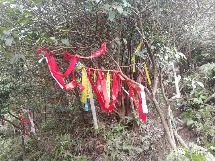 雁荡朝阳洞、五老巅、方洞环线穿越