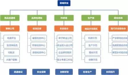 蓝城文旅集团董事长,蓝城文旅集团