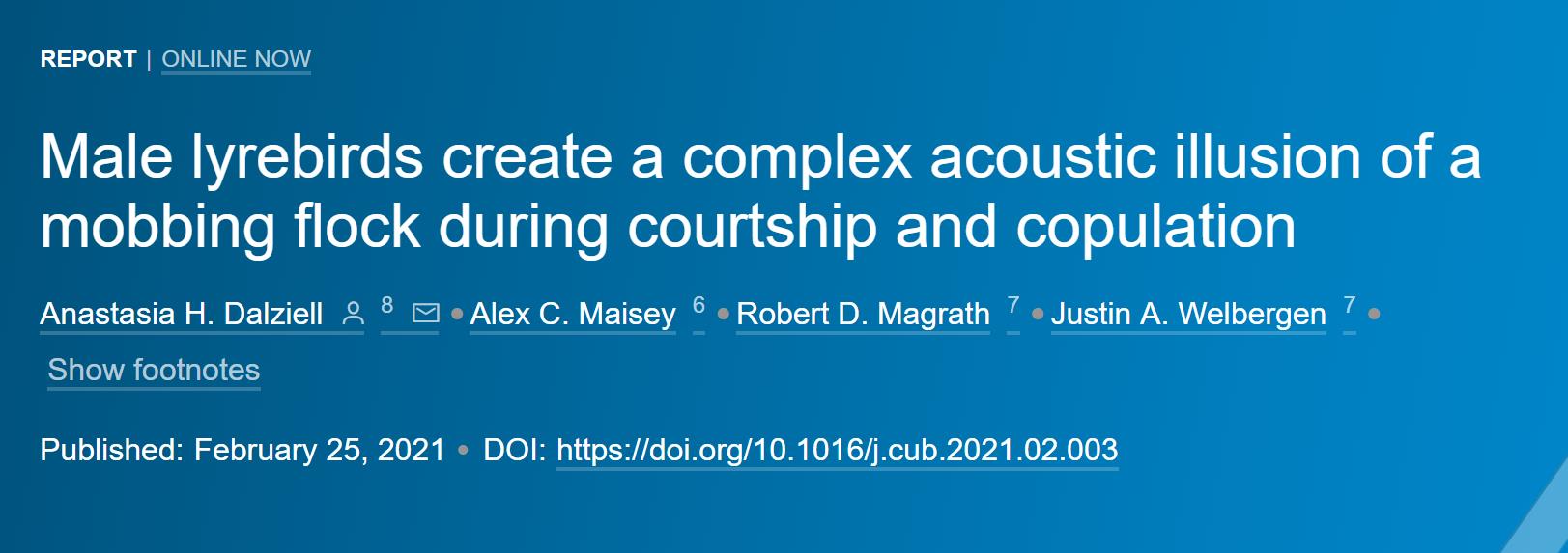 雄性琴鸟模仿叫声视频,雄琴鸟捕食者