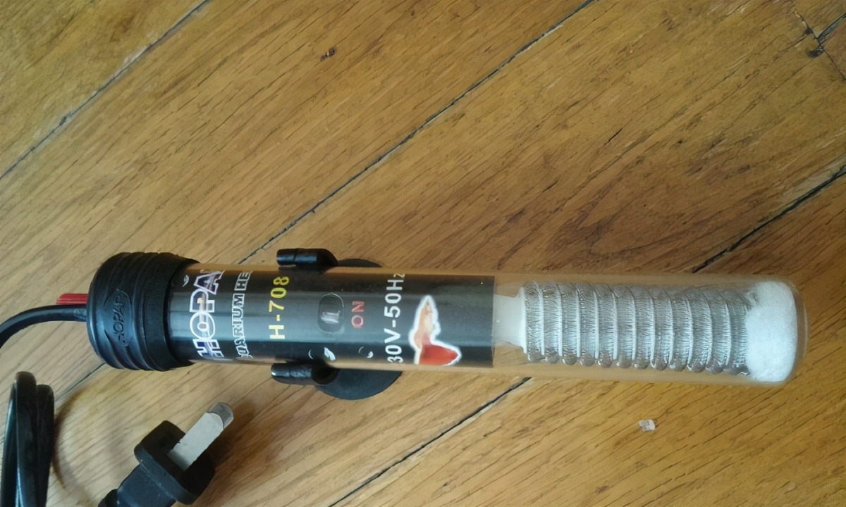 如果乌龟一直不吃食物怎么办,乌龟不吃菜怎么治