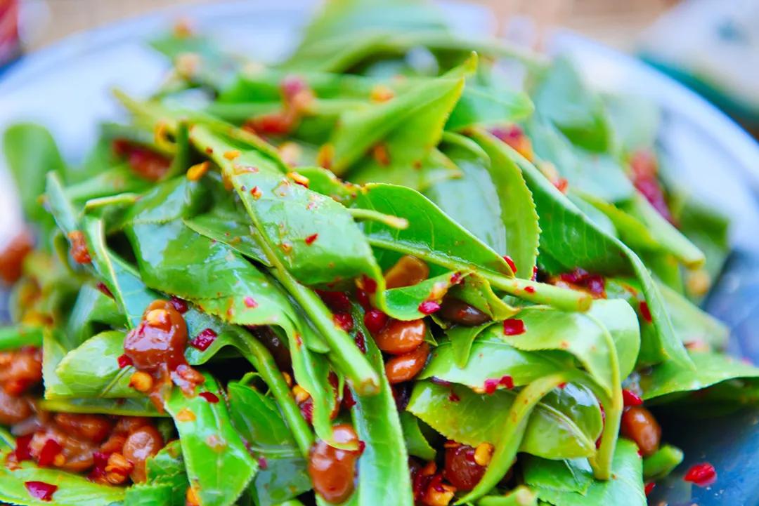 这是一个充满生机的公园怎么说,这是一个充满生机的国度朗诵