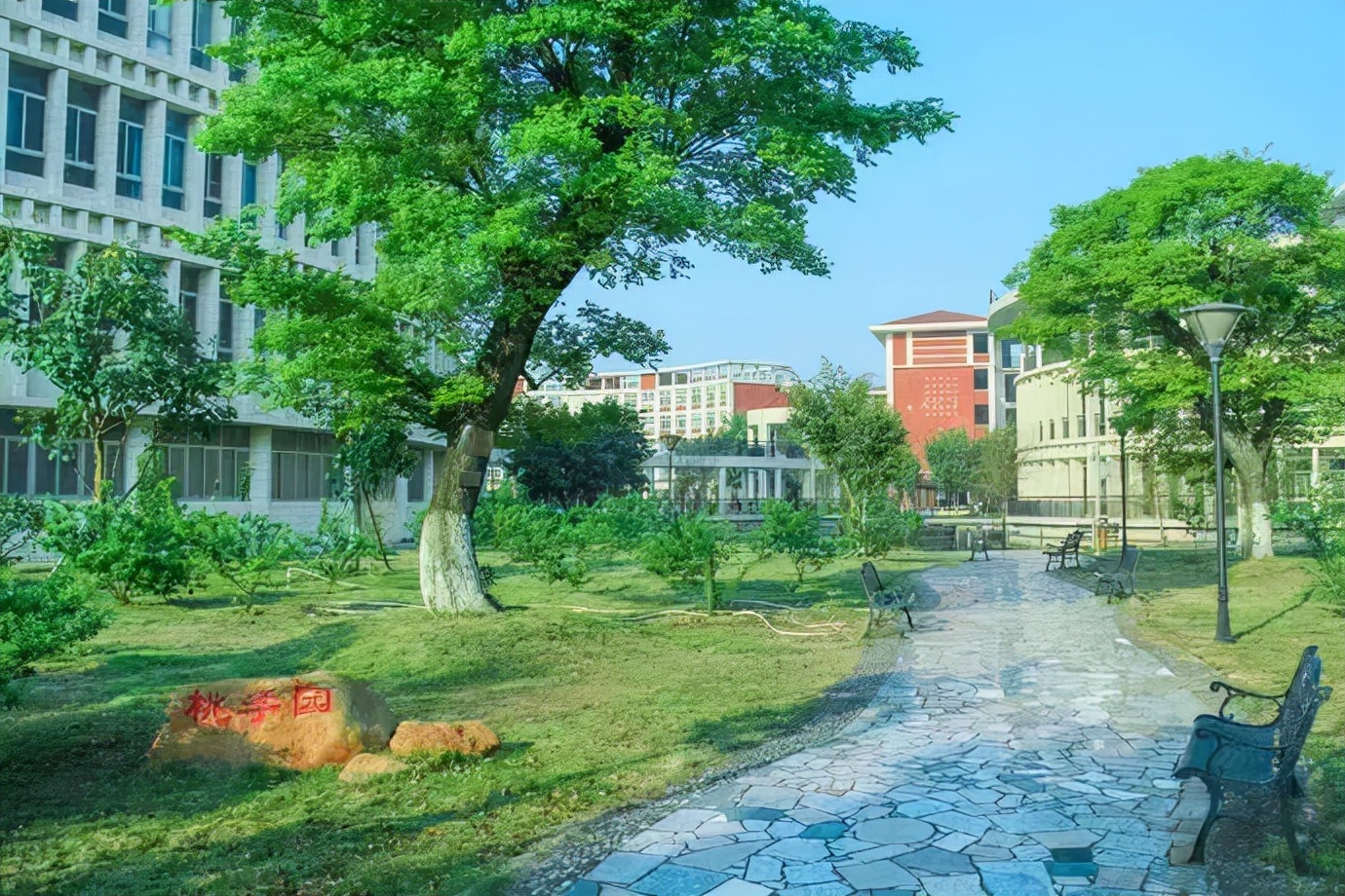 2021年汕头市“新时代好少年”学习宣传活动发布会暨精神文明建设先进典型*党**史学习教育圆满举行