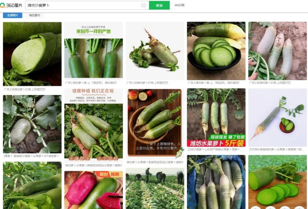 潍坊萝卜最好吃的地方,潍坊萝卜创新做法