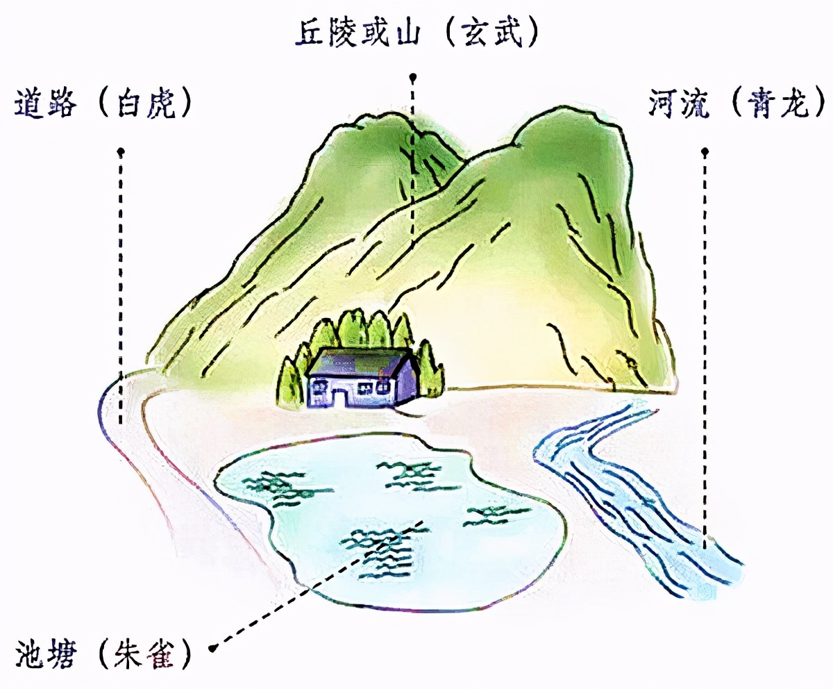 龙长虎短好不好,龙长虎短好还是龙短虎长好