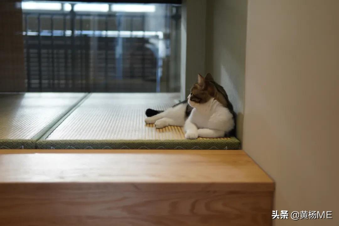 亲身操刀的家怎么装修,装修自己的新家是什么感觉